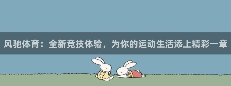 风驰体育：全新竞技体验，为你的运动生活添上精彩一章