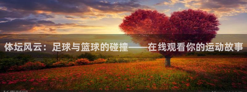 体坛风云：足球与篮球的碰撞——在线观看你的运动故事