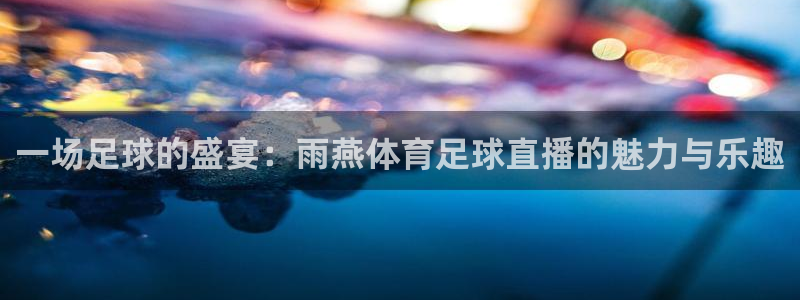 一场足球的盛宴：雨燕体育足球直播的魅力与乐趣