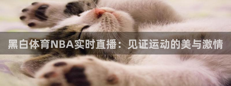 黑白体育NBA实时直播：见证运动的美与激情