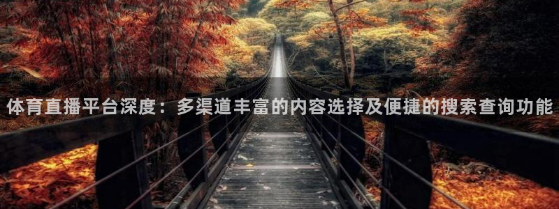 体育直播平台深度：多渠道丰富的内容选择及便捷的搜索查询功能