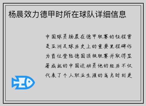 杨晨效力德甲时所在球队详细信息