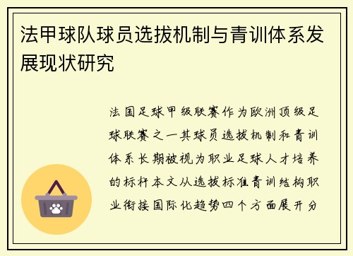 法甲球队球员选拔机制与青训体系发展现状研究