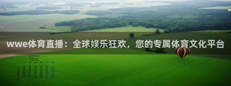 wwe体育直播：全球娱乐狂欢，您的专属体育文化平台